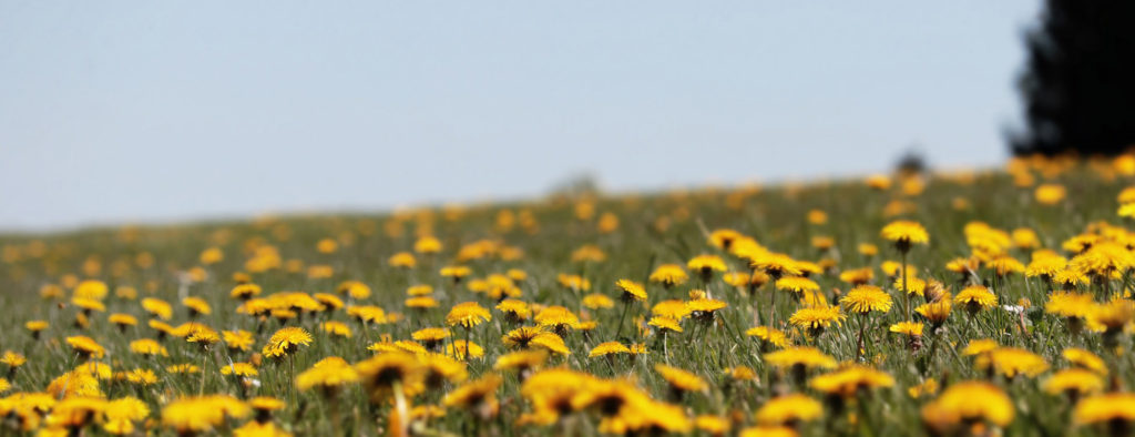 Should you turn your furnace off in the Summer